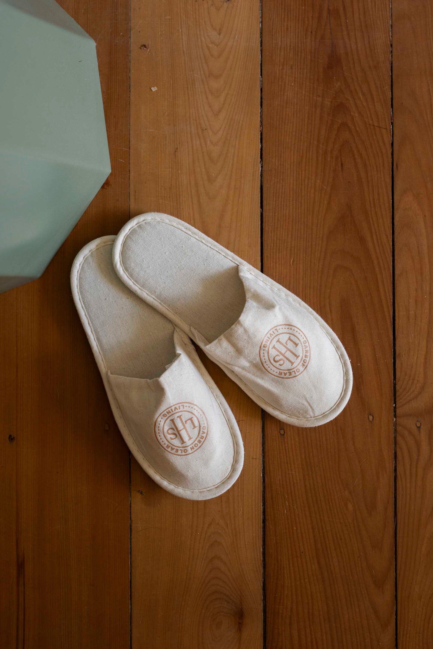 Carbon Clear Living Slippers