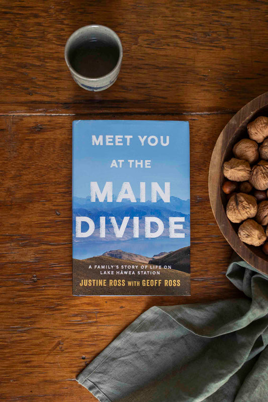 Meet You At The Main Divide Book