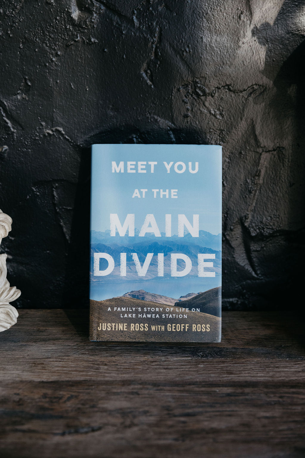 Meet You At The Main Divide Book