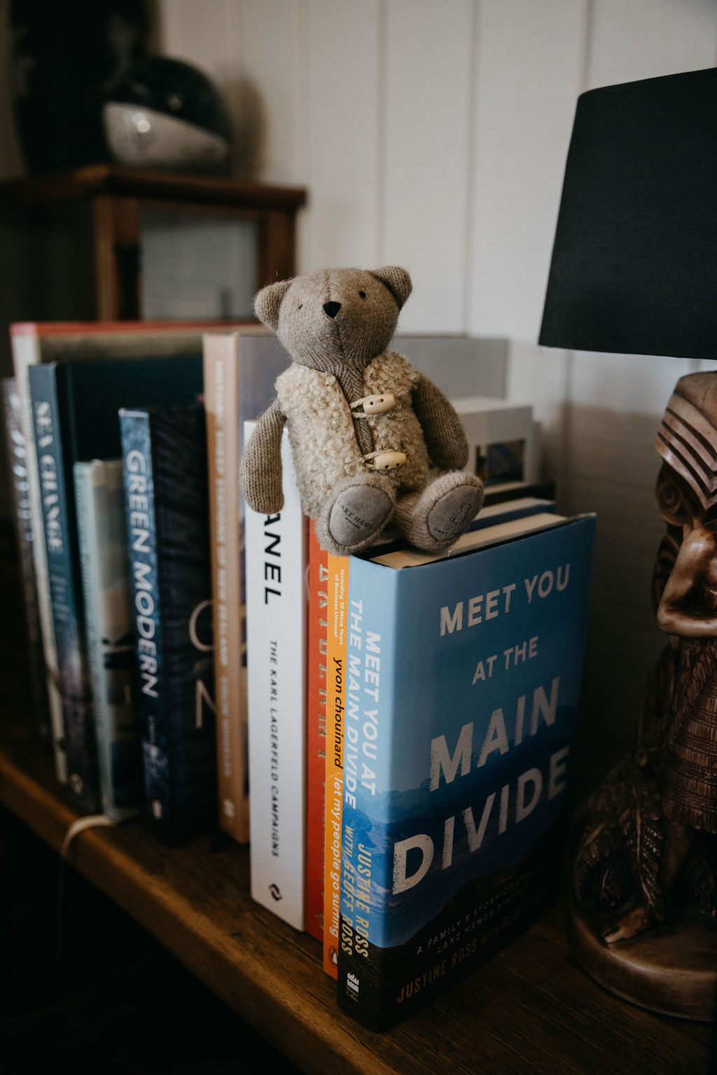 Meet You At The Main Divide Book